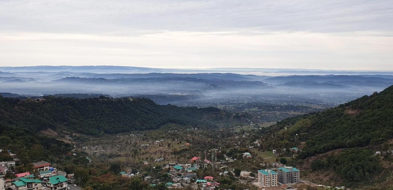 Hotel Pong View Dharamszala Kültér fotó